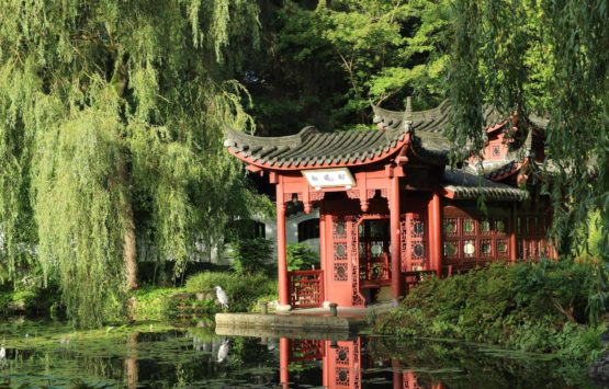 Hortus botanicus Haren-Groningen