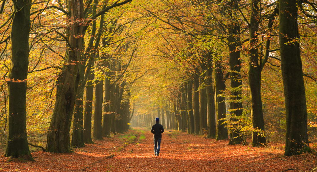 10 Walks in the nature around Groningen