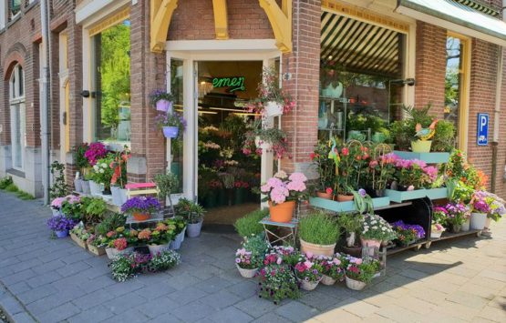 Bloemenhuis ’t Stekje