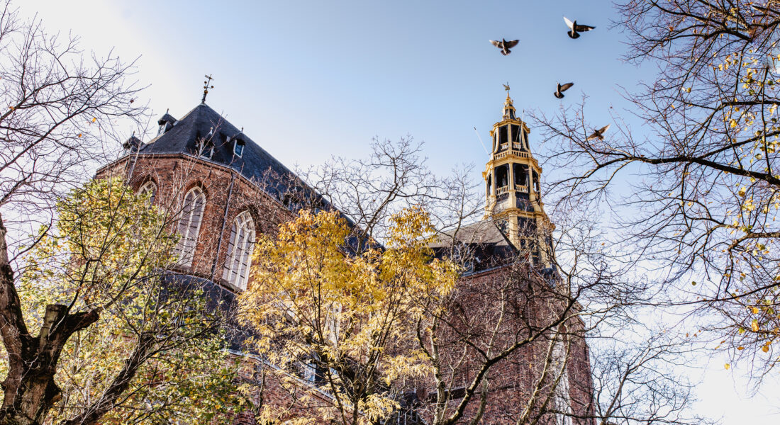 Route past the city’s towers