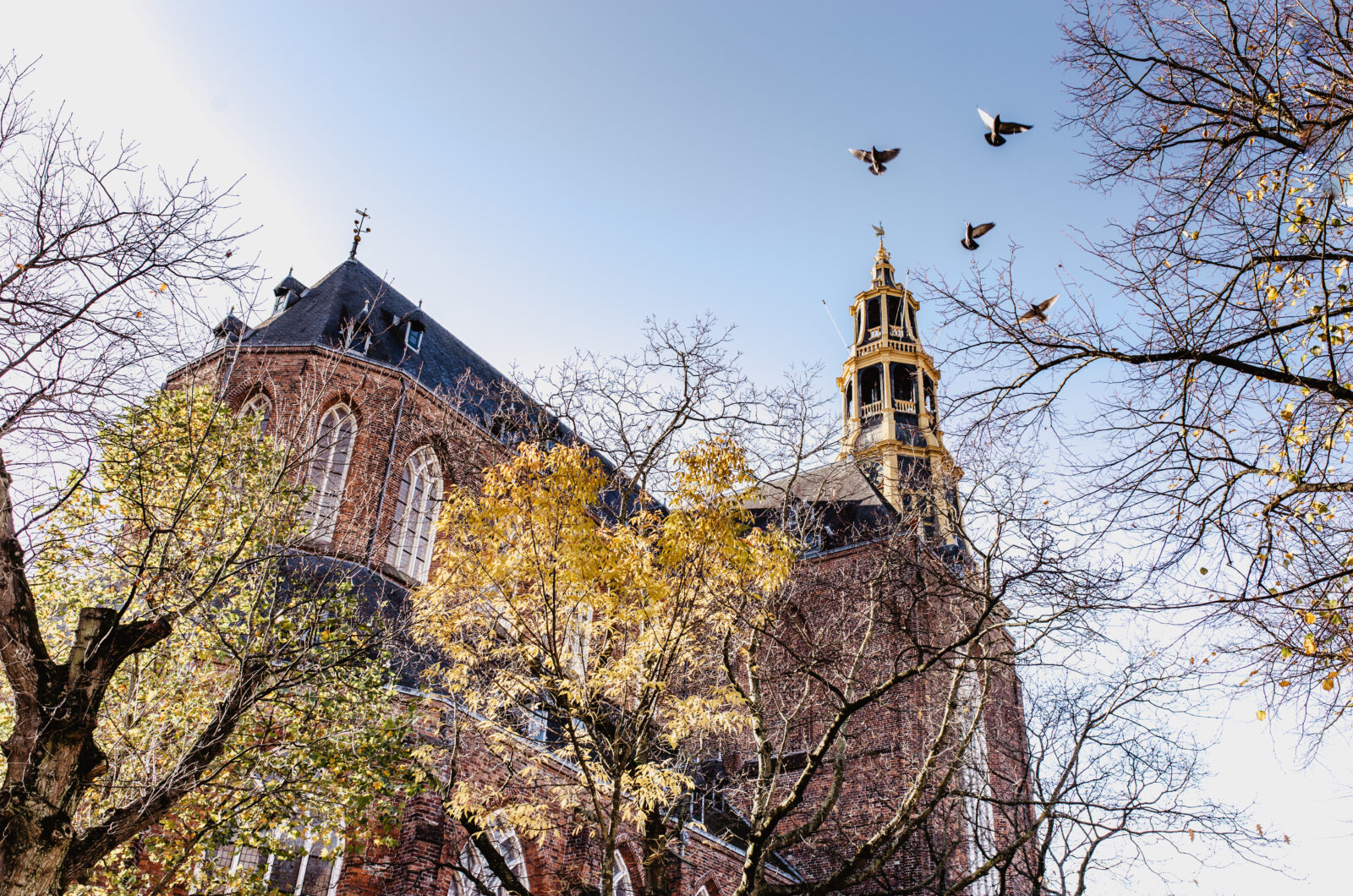 Route past the city’s towers