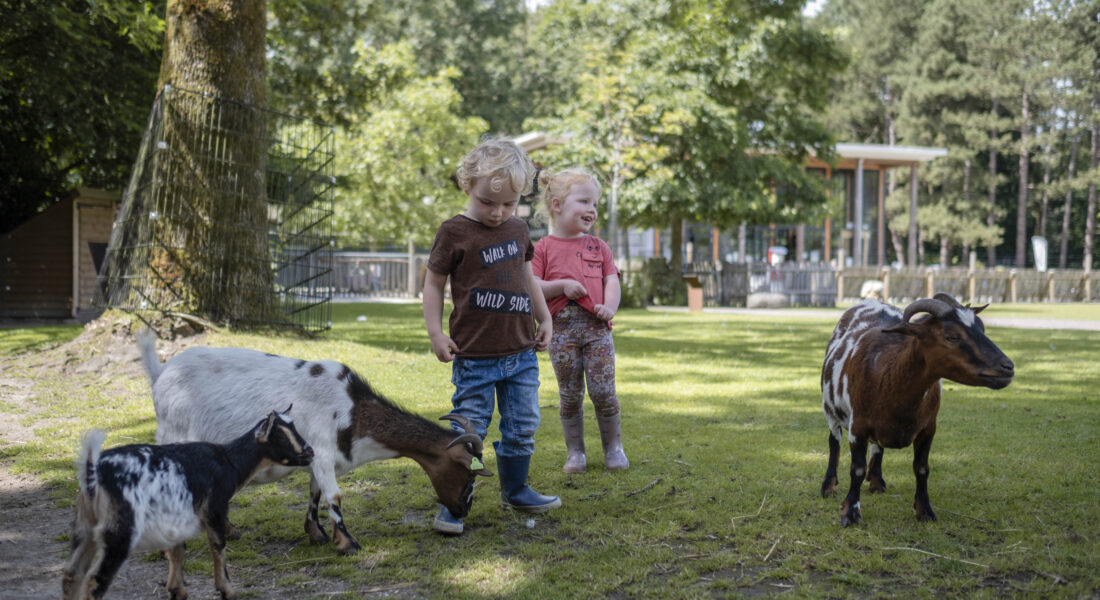 Stadspark Petting Zoo