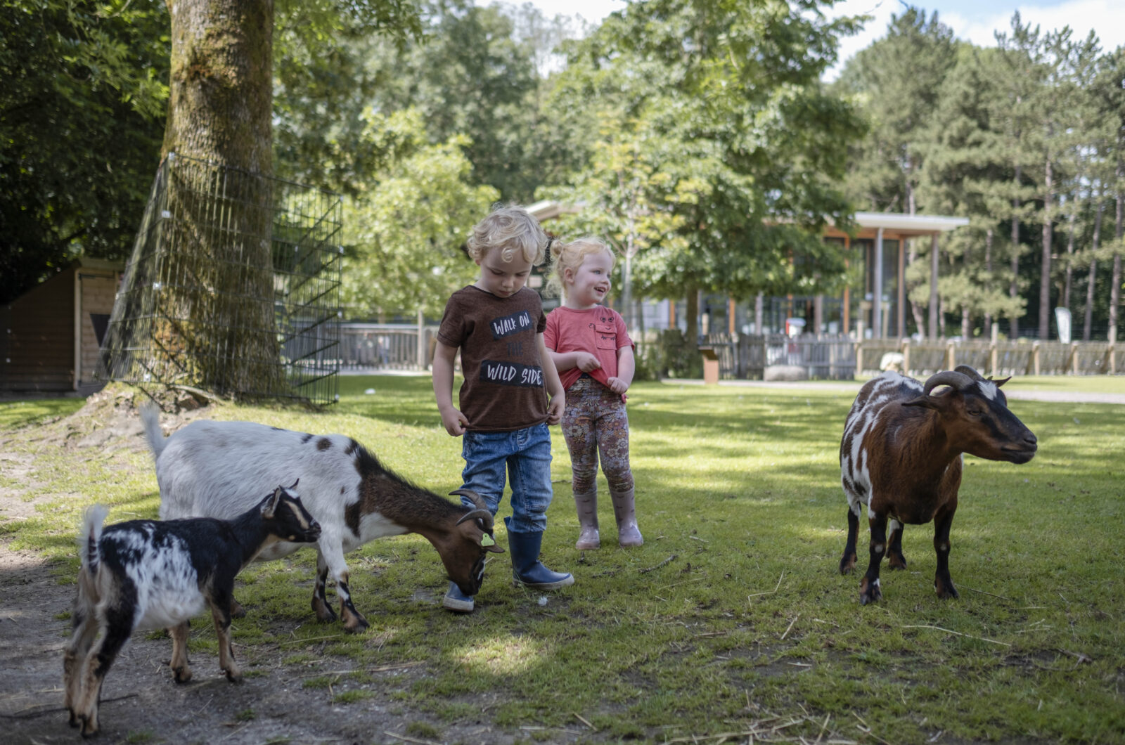 Stadspark Petting Zoo