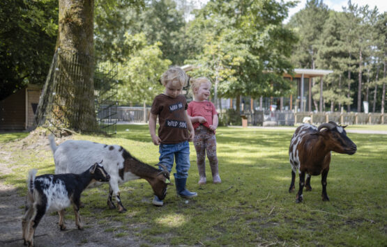 Stadspark Petting Zoo